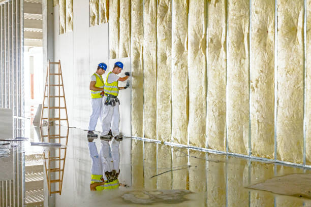 Best Garage Insulation  in Avon, OH